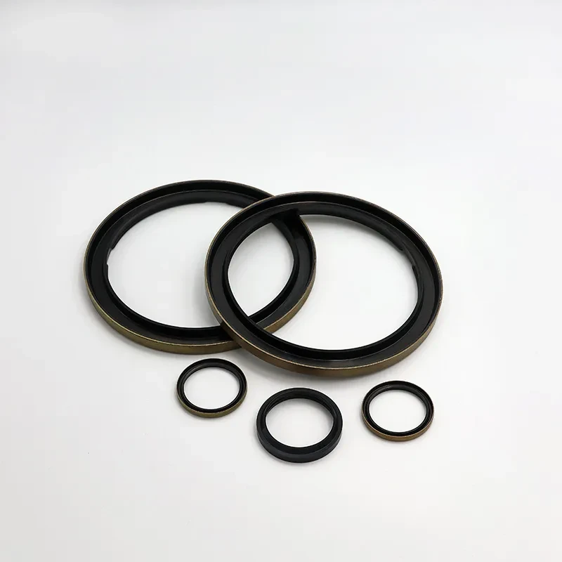 防塵油封 (Dust seal)