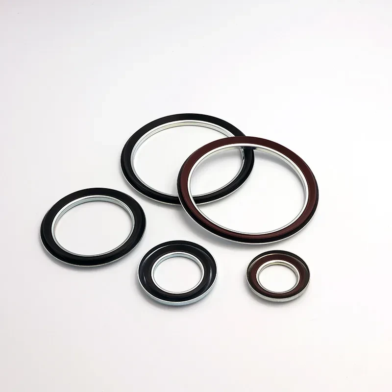 軸向密封件 (Gamma seals)